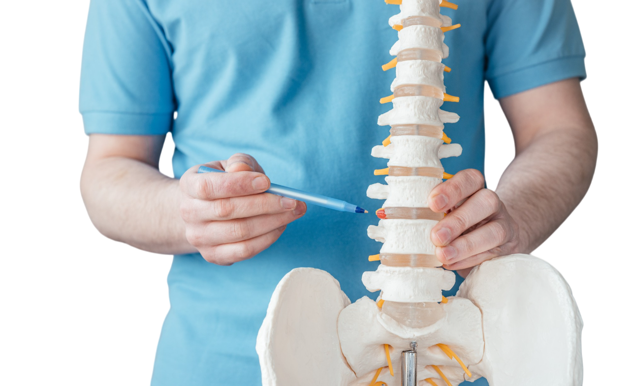 Chiropractor in Calgary, AB